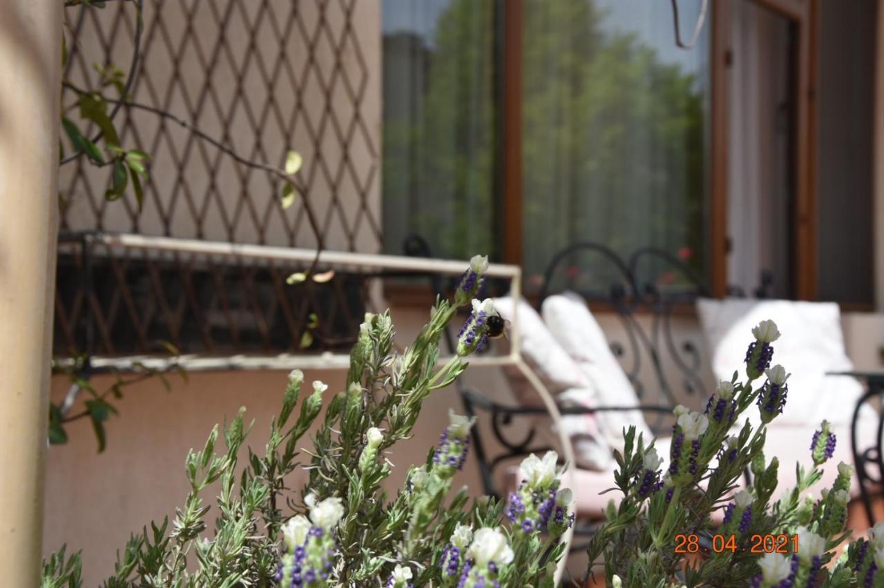 Princess Apartment Sandanski Luaran gambar